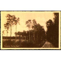 Birkeskov - Tisvilde Hegn - E. Ramlaus Bogh. 38542 - Brugt