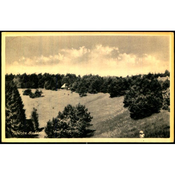 Tisvilde Bakker - Svend Klint 10110 - Brugt