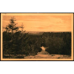 Fr�bjerg Bakke i Tisvilde Hegn - Knud Poulsens Bogh. 565 - Brugt