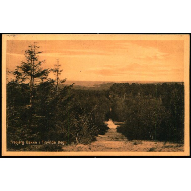 Fr�bjerg Bakke i Tisvilde Hegn - Knud Poulsens Bogh. 565 - Brugt