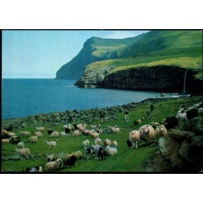 Fjallgonga à Eidi - Asmundur Poulsen u/n - Brugt