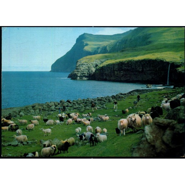 Fjallgonga &agrave; Eidi - Asmundur Poulsen u/n - Brugt