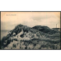 Parti fra Blaavand - P. Petersen 28 - Ubrugt