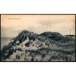 Parti fra Blaavand - P. Petersen 28 - Ubrugt