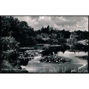 Esbjerg - Fra Vognsb�lparken - Stender Uden bagsidetryk - Ubrugt