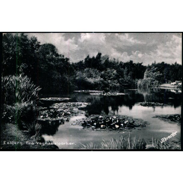 Esbjerg - Fra Vognsb�lparken - Stender Uden bagsidetryk - Ubrugt