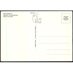 R�m� - D�mning - Stjerne Foto 35108 - Ubrugt