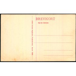 Stranden ved Tisvilde Leje - A. Jensens Bogh.  25825 - Ubrugt