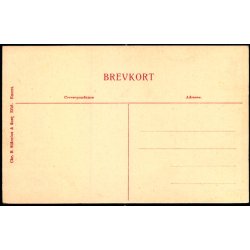 Nysted - Chr. Sidinius &amp; S�ns Eftf. Eneret u/n - Ubrugt