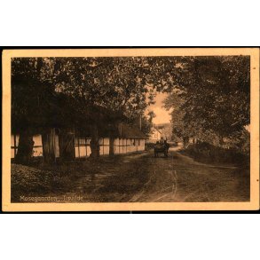 Mosegaarden  - Tisvilde - Albert Jensens Bogh. 8015