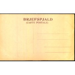 Vegurinn i Almannagj&agrave; - &Ugrave;gt:  Sigf. Eymundsson u/n - Ubrugt - Kanten Slidt !