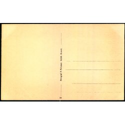 Parti fra Blaavand - P. Petersen 28 - Ubrugt