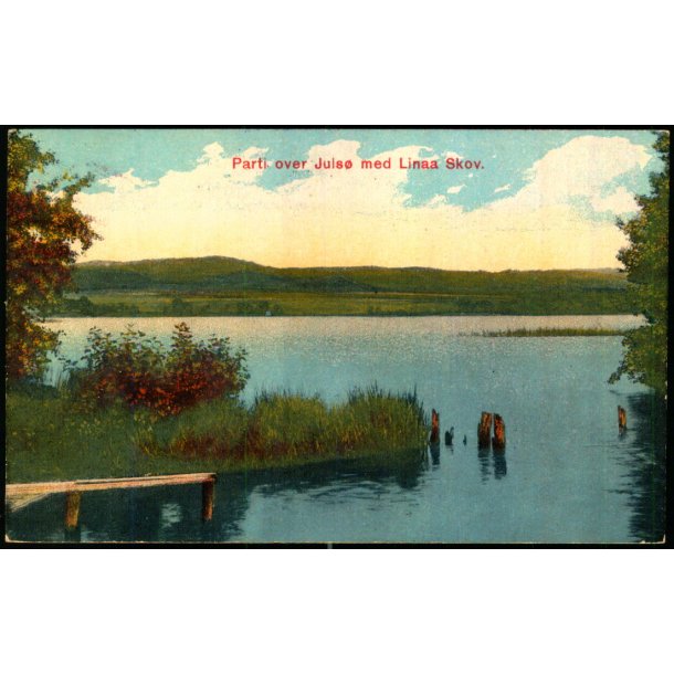 Parti over Juls� mod Linaa Skov - Alex Vincent 642 - Brugt