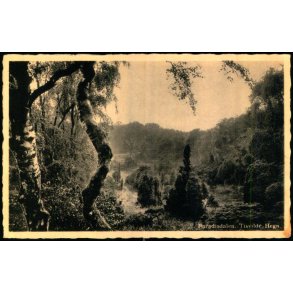 Paradisdalen - Tisvilde Hegn - E. Ramlaus Bogh. 3987 - Ubrugt