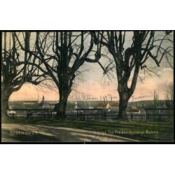 Kbenhavn - Udsigt fra Frederiksberg Bakke - C. St. 523  - Brugt