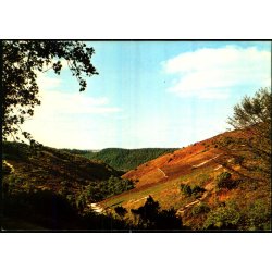 Rebild Nationalpark - Stender 414346 - Ubrugt