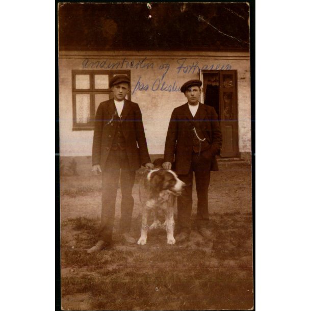 Andenkalen og Forkalen   paa Oleslund - Fotokort u/n - Ubrugt - N�lehul !