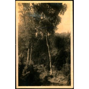 Tisvilde Hegn - Ved Bangs H�j - Stationskiosken 105 - Ubrugt