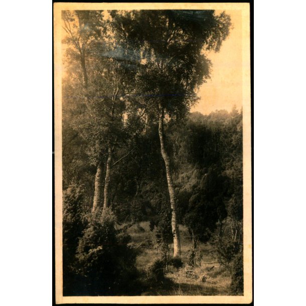 Tisvilde Hegn - Ved Bangs H�j - Stationskiosken 105 - Ubrugt