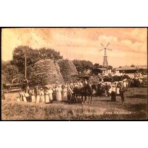 H�stgilde  fra K�rehave -  u/n - Brugt