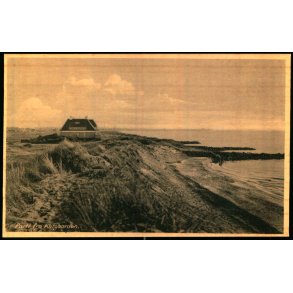 Parti fra Klitgrden - Asmussen 31 - Ubrugt