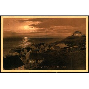 Udsigt over Tisvilde Leje - Albert Jensens Bogh. 8006 - Brugt