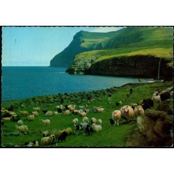 Fjallgonga &agrave; Eidi - Asmundur Poulsen u/n - Brugt