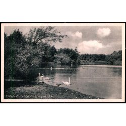 Esbjerg - Fra Vognsb�lparken - Stender E. 20 - Ubrugt