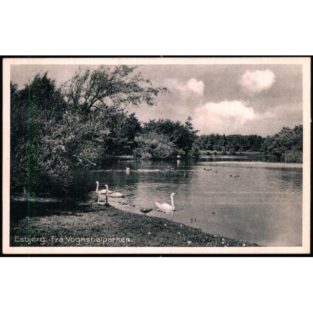 Esbjerg - Fra Vognsb�lparken - Stender E. 20 - Ubrugt