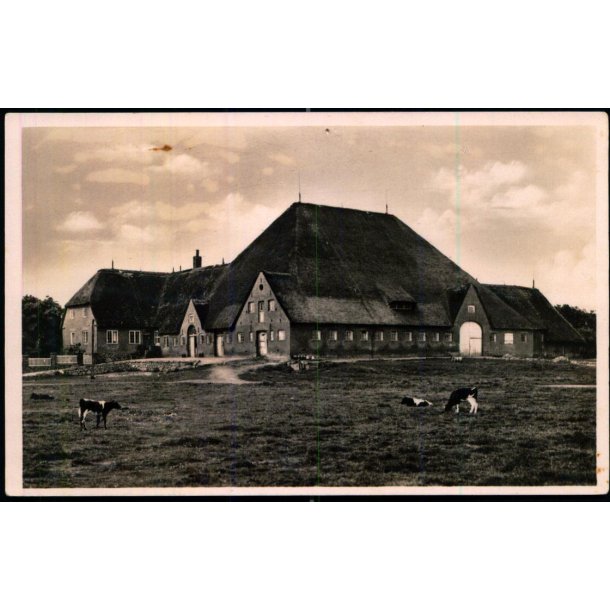 Marskgaarden - Vesteranflod - A. Martinsen u/n - Ubrugt - N�lehul!