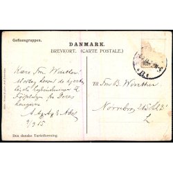 P. Fischer - Gefiongruppen - Nielsen &amp; Lydiche u/n - Brugt - Svagt hj�rne !