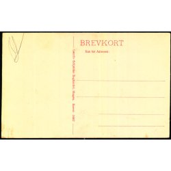 Skagen - Parti fra Havnen -  Laurits Schjeldes Bogh. 24957 - Ubrugt