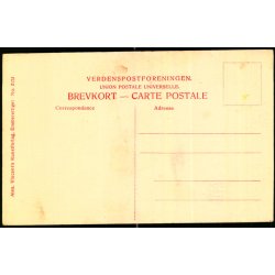 Brammingegaard (Jylland) - Alex Vincent 2173 - Ubrugt