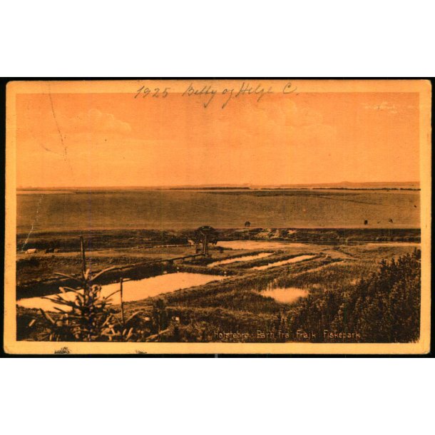 Holstebro - Parti fra Fr�jk Fiskepark - Stender 40267 - Brugt
