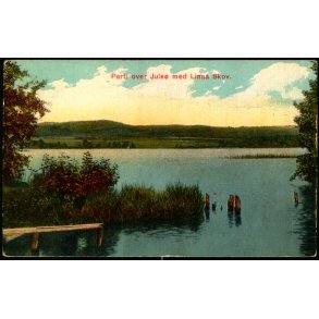 Parti over Juls� mod Linaa Skov - Alex Vincent 642 - Ubrugt