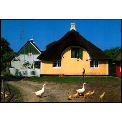 S�nderho - Fan� - Wadmanns 9477 - Ubrugt