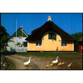 S�nderho - Fan� - Wadmanns 9477 - Ubrugt