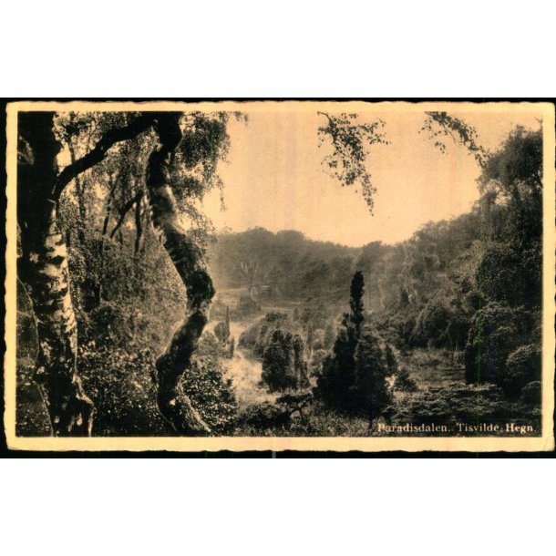 Paradisdalen - Tisvilde Hegn - E. Ramlaus Bogh. 3987 - Brugt