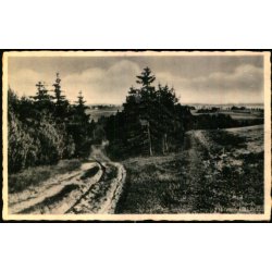 Tibirke Bakker - Rudolf Olsen 4667 - Brugt