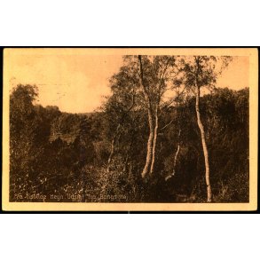 Fra Tisvilde Hegn - Udsigt fra Bangs H�j - E. Ramlaus Bogh. 61650 - Brugt