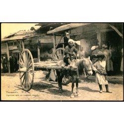 Tasjkent - En Sarts hestevogn i den gamle by - Ubrugt
