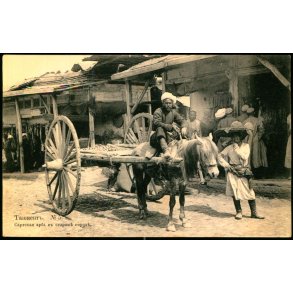Tasjkent - En Sarts hestevogn i den gamle by - Ubrugt