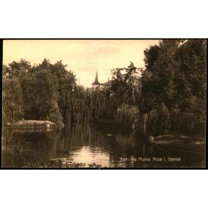 Parti fra Munke Mose i Odense  - J.C.P.V. u/n - Ubrugt