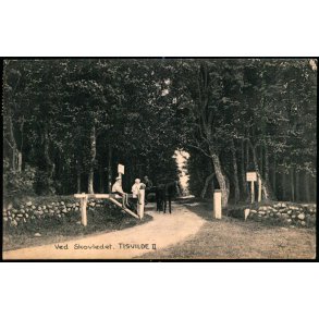 Ved Skovleddet - Tisvilde II - Albert Jensens Bogh. 23706 - Brugt