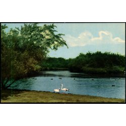 Esbjerg - Fra Vognsb�l Parken - Rudolf Olsen 404 - Ubrugt