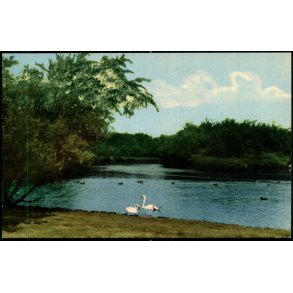 Esbjerg - Fra Vognsb�l Parken - Rudolf Olsen 404 - Ubrugt