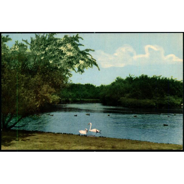 Esbjerg - Fra Vognsb�l Parken - Rudolf Olsen 404 - Ubrugt