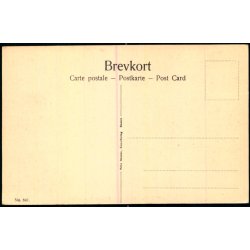 Kbenhavn - Udsigt fra Frederiksberg Bakke - Fritz Benzen 641 - Ubrugt