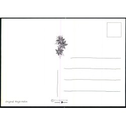 Birgit Helen - Eliasson u/n - Ubrugt