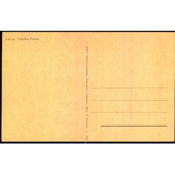 Esbjerg - Fra Vognsb�l Parken - Rudolf Olsen 404 - Ubrugt